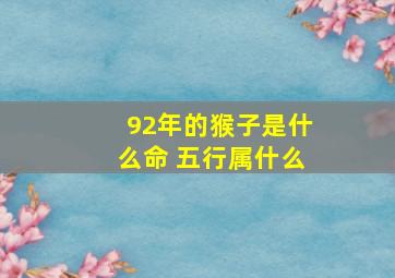 92年的猴子是什么命 五行属什么